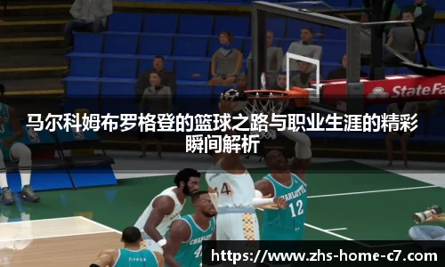 c7娱乐公司